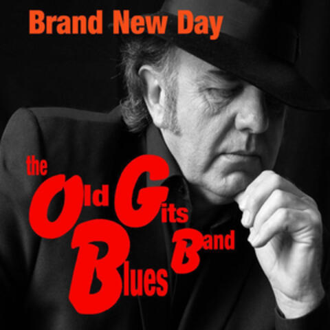 The Old Gits Blues Band