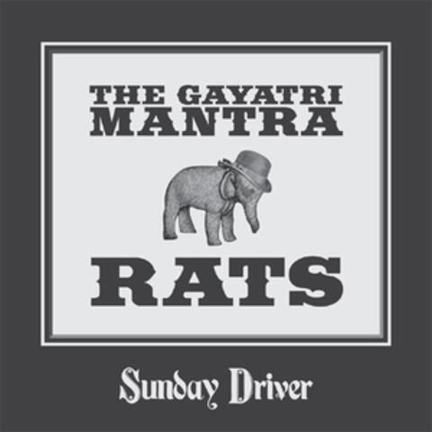 The Gayatri Mantra And Rats