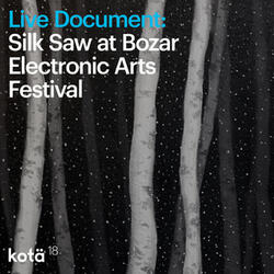 Live Document: Silk Saw at Bozar Electronic Arts Festival