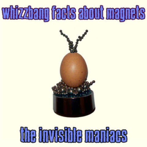 Whizzbang Facts About Magnets