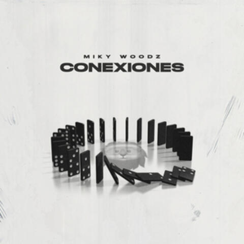 Conexiones