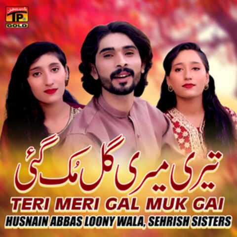 Teri Meri Gal Muk Gai - Single