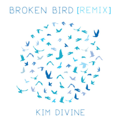 Broken Bird