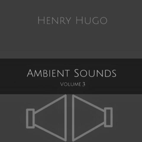 Ambient Sounds, Vol. 3