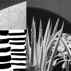 You Like Talking About Yourself