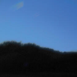 Untitled 1