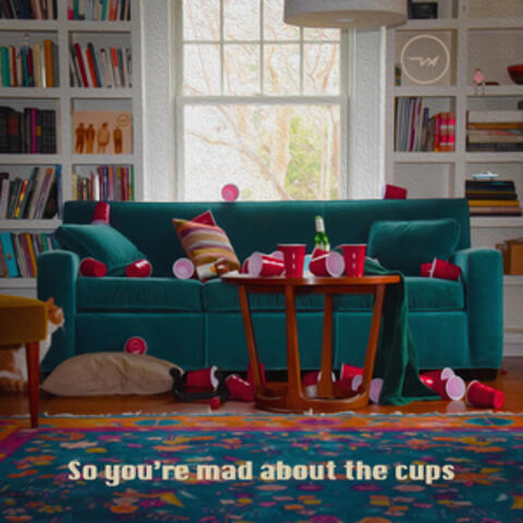 So You're Mad About the Cups