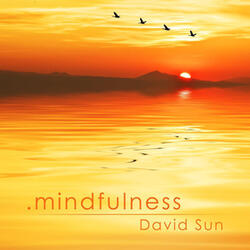 Mindfulness