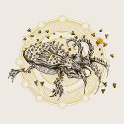 Stargazing and Violence