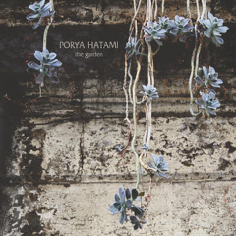 Porya Hatami