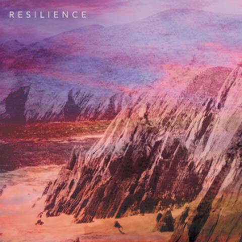 Resilience