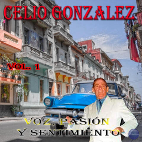 Voz, Pasión y Sentimiento Vol. 1
