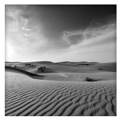 Desert Skye