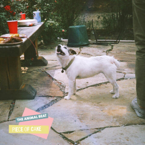 Piece of Cake