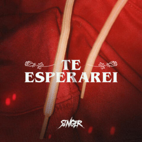 Te Esperarei