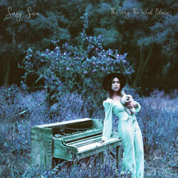 The Sun Don't Always Shine