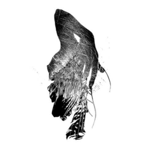 Lady Greyling