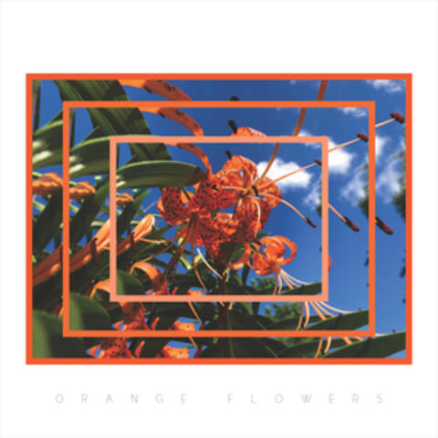Orange Flowers