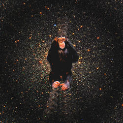 I Don't Wanna Hear That