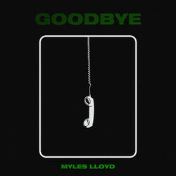 Goodbye