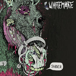 You'll Be Coming Home With Me Tonight