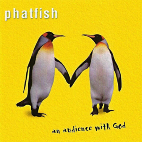 Phatfish