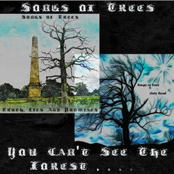 Truth, Lies and Promises