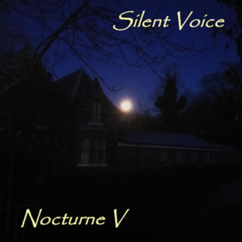 Nocturne V