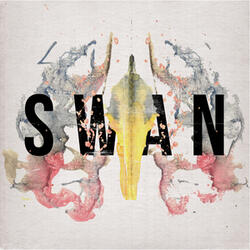 Swan