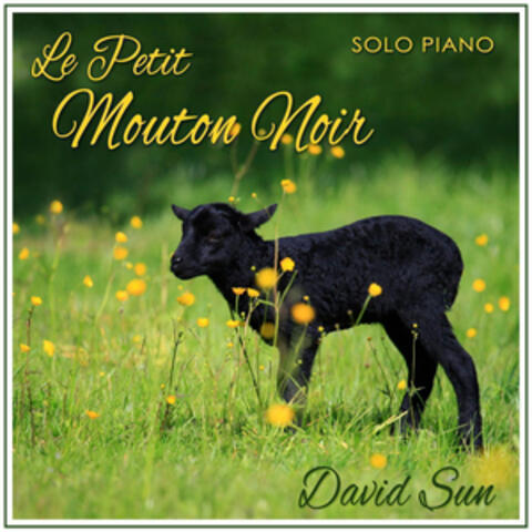 Le Petit Mouton Noir (The Solo Piano of David Sun)