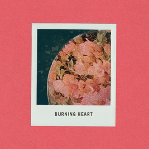 Burning Heart