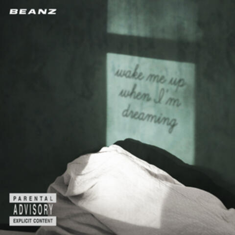 Wake Me Up When I’m Dreaming