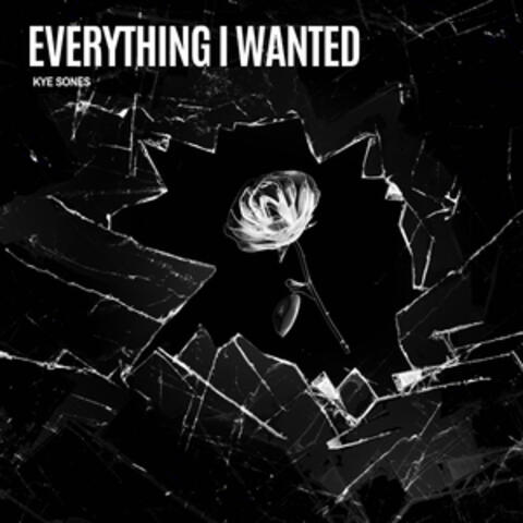 Everything I Wanted