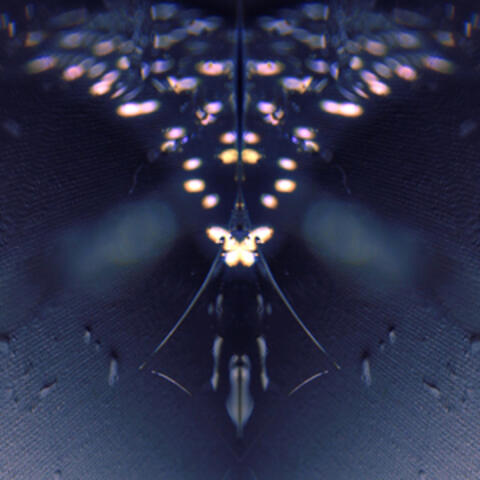 Meanderings