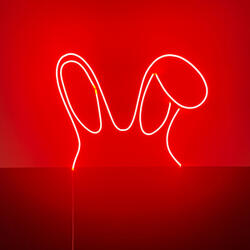Ears Bunny