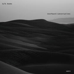 A Voodoo Doll with Pins