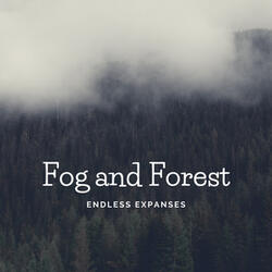 Fog and Forest