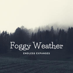 Foggy Weather