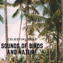 Sounds of Birds and Nature