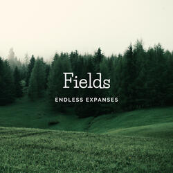 Fields