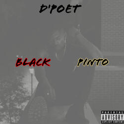 Black Pinto