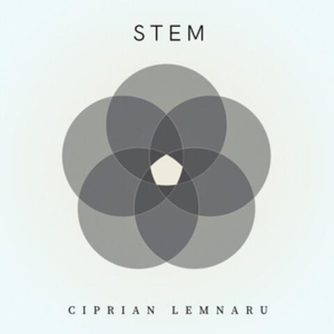Stem