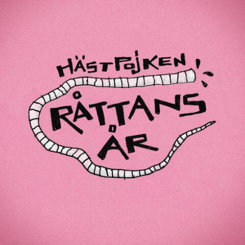 Hästpojken