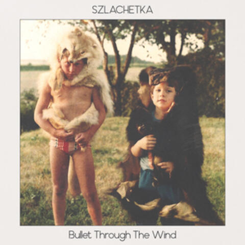 Bullet Through the Wind