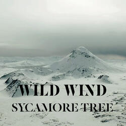 Wild Wind