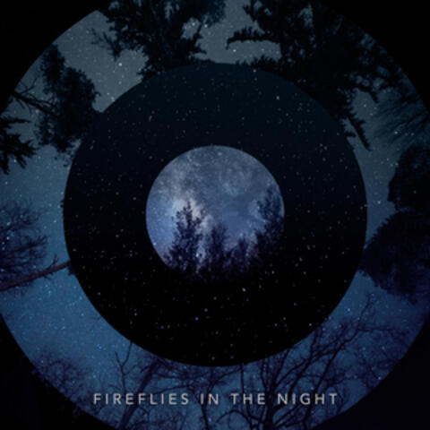 Fireflies in the Night