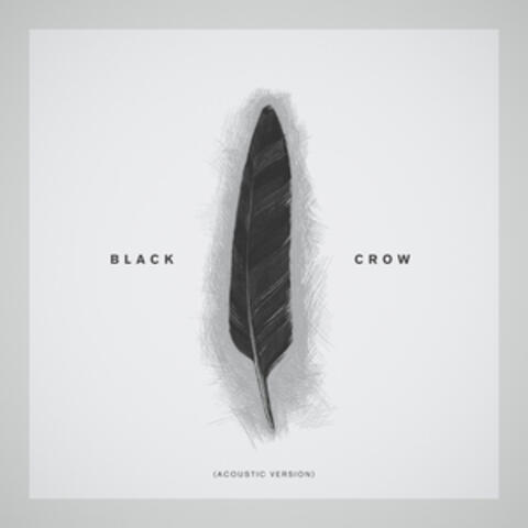 Black Crow