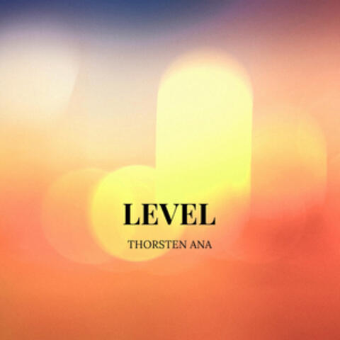 Level