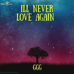 Ill Never Love Again