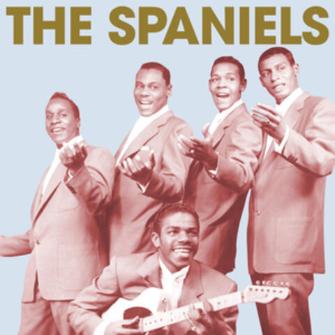 The Spaniels